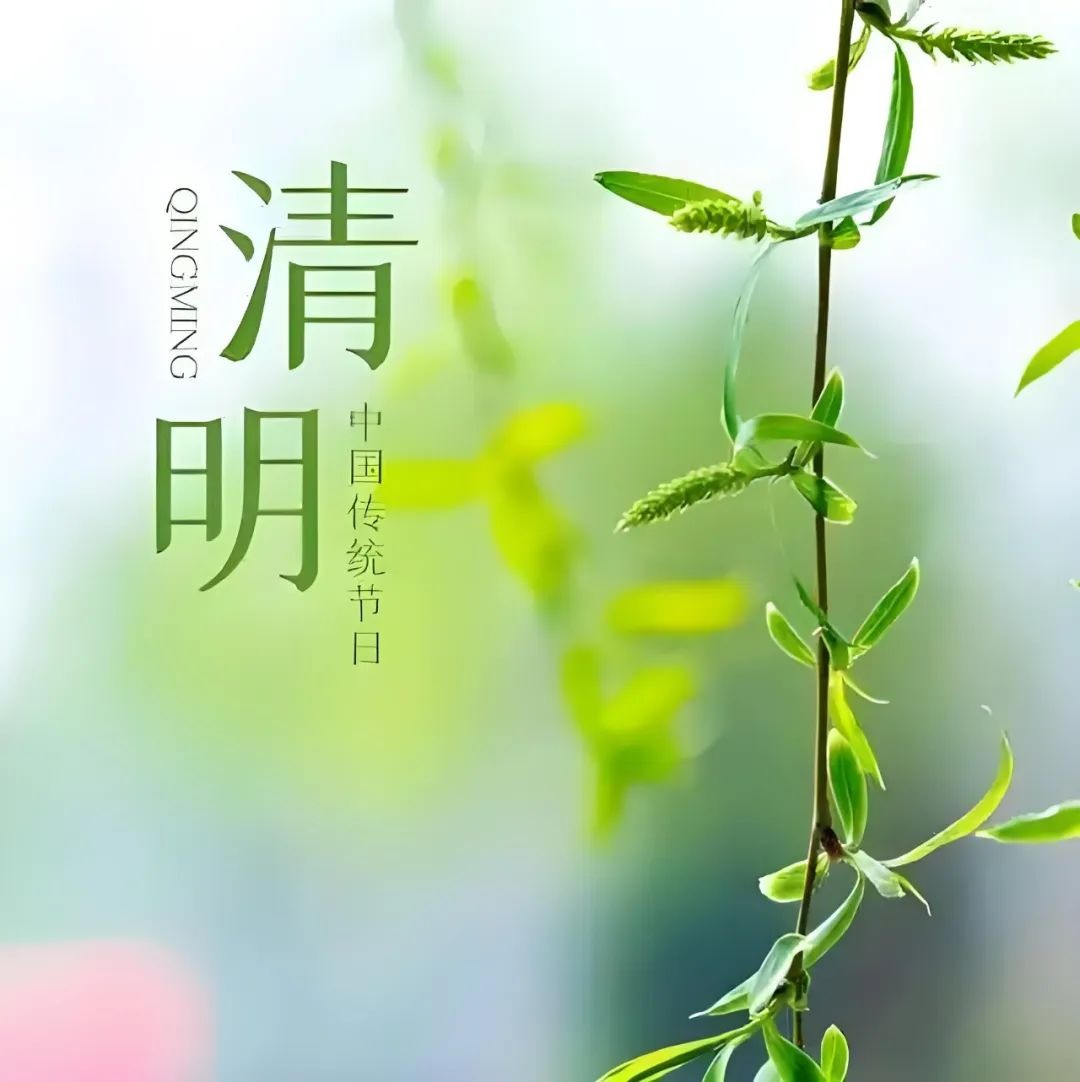 三晶科技 | 清明放假通知
